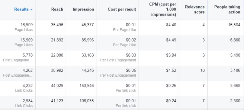 Facebook-Ads-Manager-Sample-Results