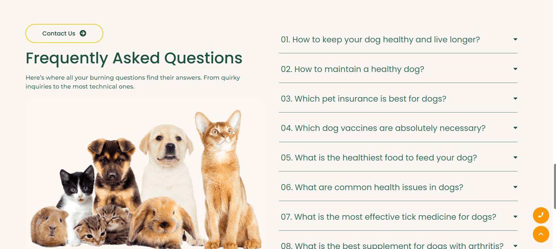 pet health house website 4